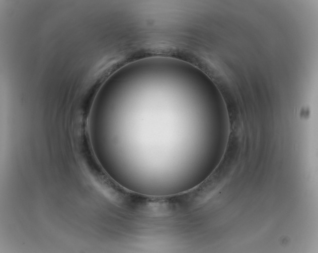 X0000092290744200709141259