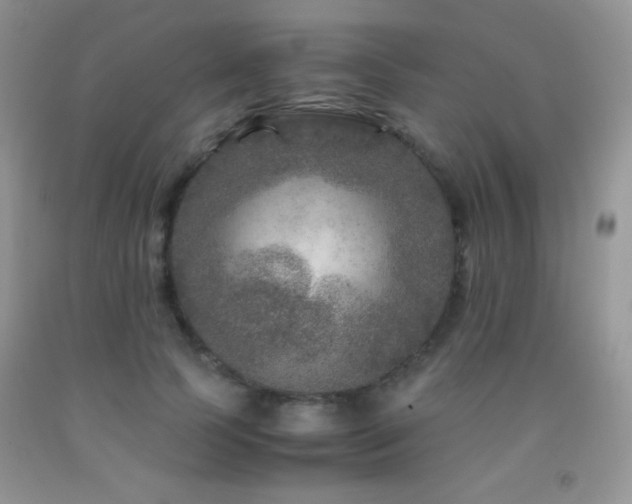 X0000092290745200709141259