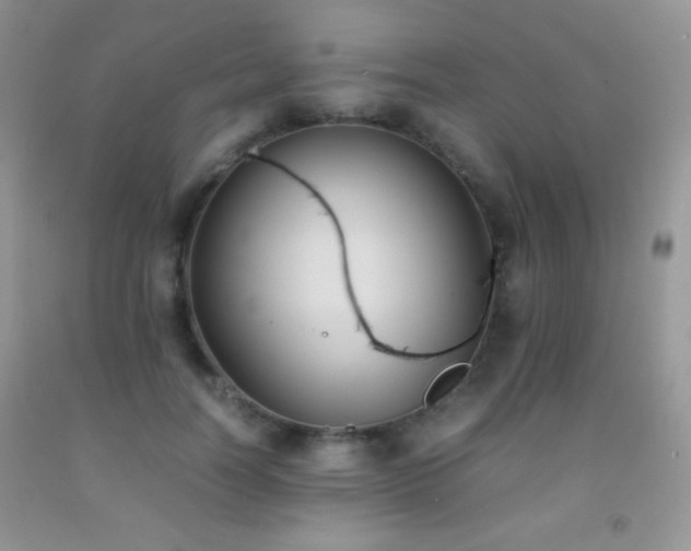 X0000092290746200709141259