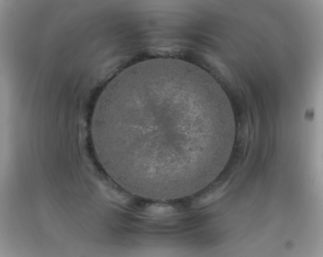 X0000092290749200709141259