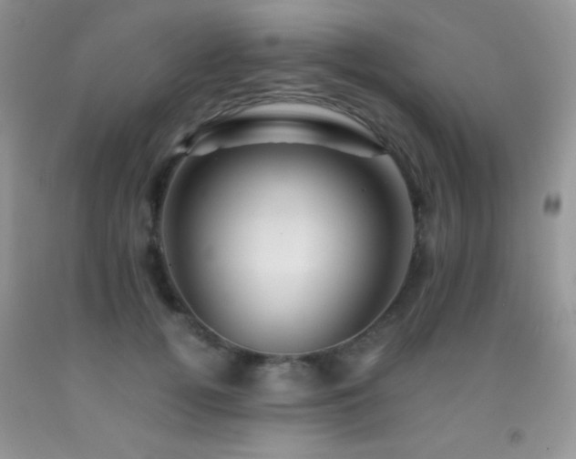 X0000092290752200709141259