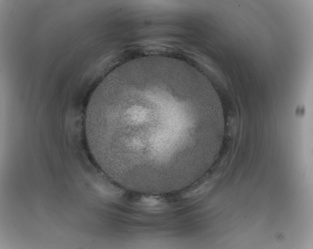 X0000092290753200709141259