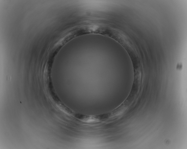 X0000092290754200709141259