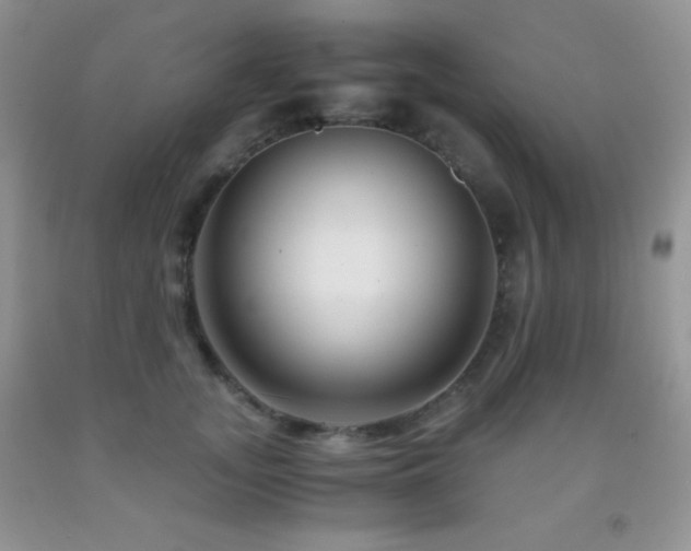 X0000092290755200709141259