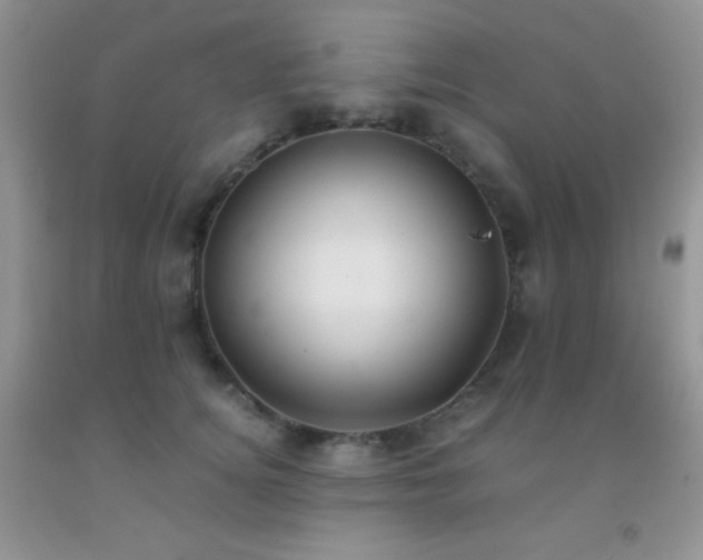 X0000092290756200709141259