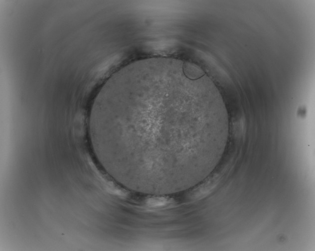 X0000092290757200709141259