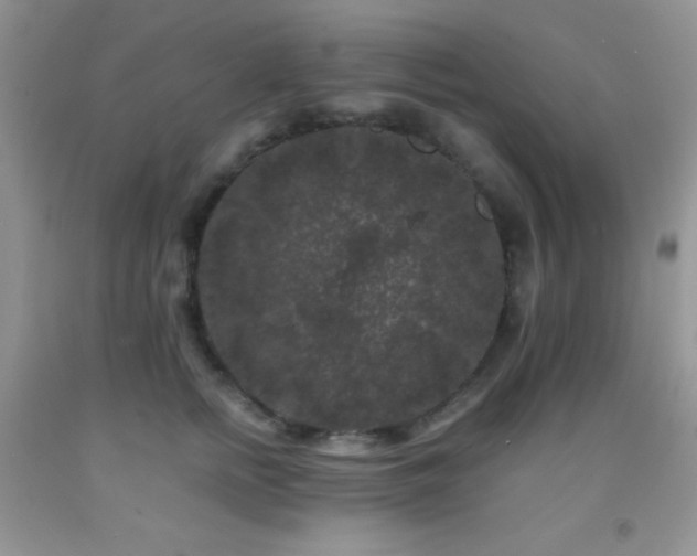 X0000092290758200709141259