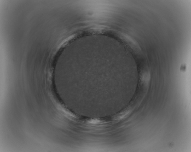 X0000092290759200709141259