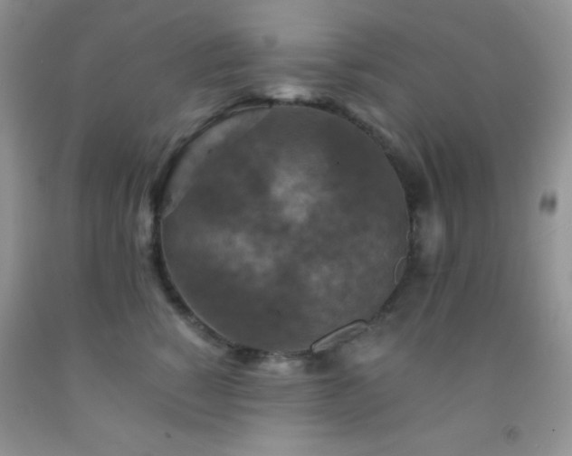 X0000092290760200709141259