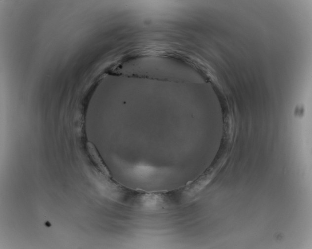 X0000092290762200709141259