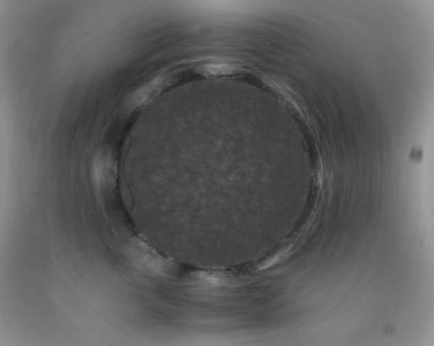 X0000092290763200709141259