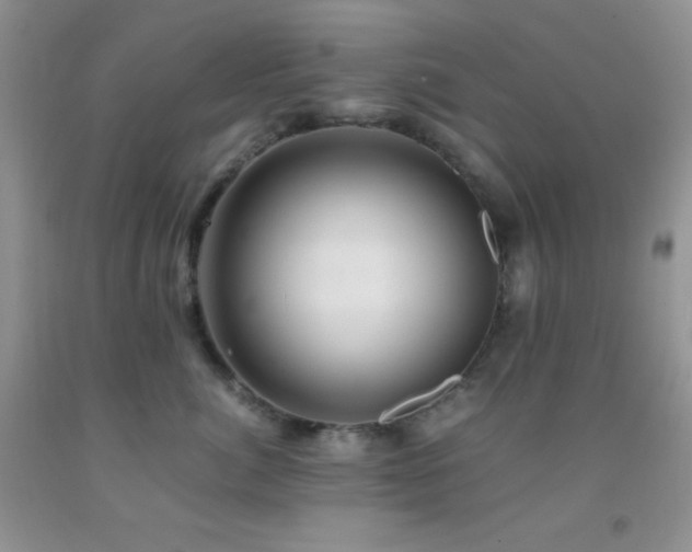 X0000092290764200709141259