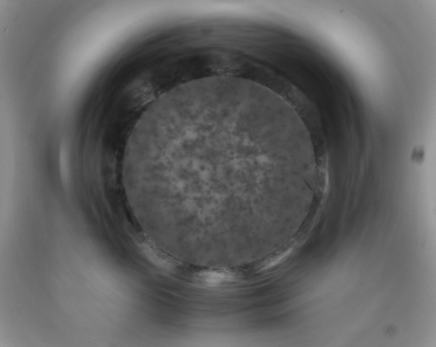 X0000092290765200709141259