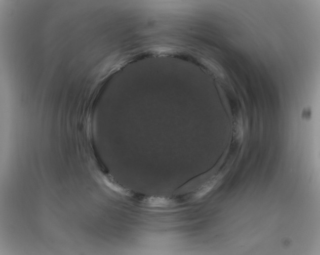 X0000092290766200709141259