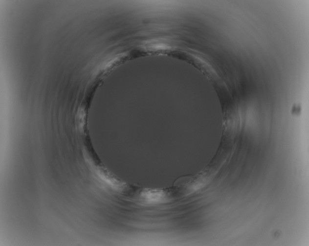 X0000092290767200709141259