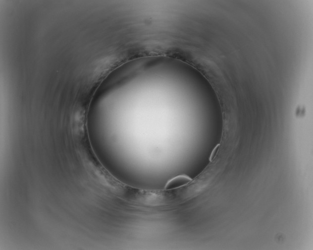 X0000092290768200709141259