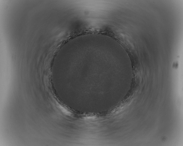 X0000092290769200709141259