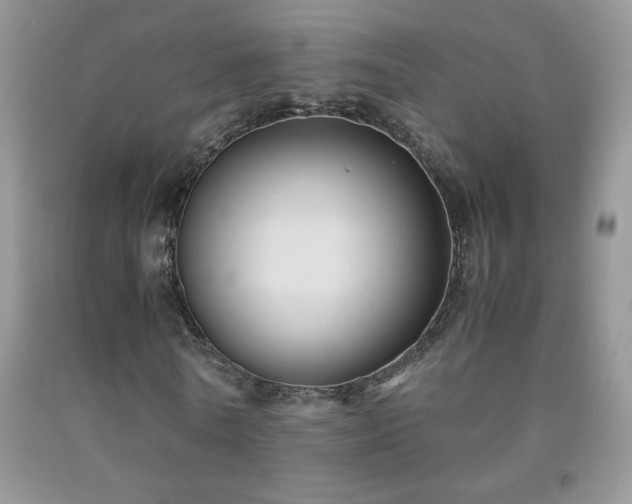 X0000092290770200709141259