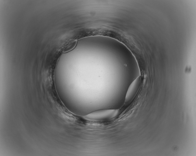 X0000092290771200709141259