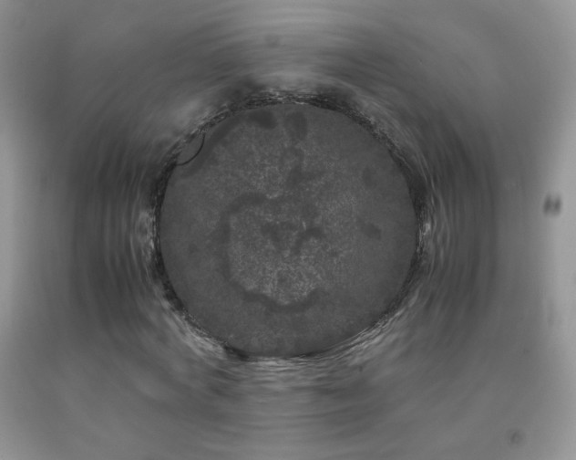 X0000092290772200709141259