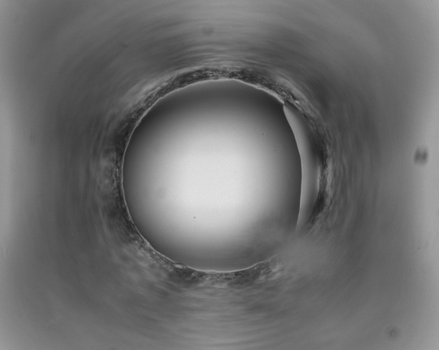 X0000092290773200709141259