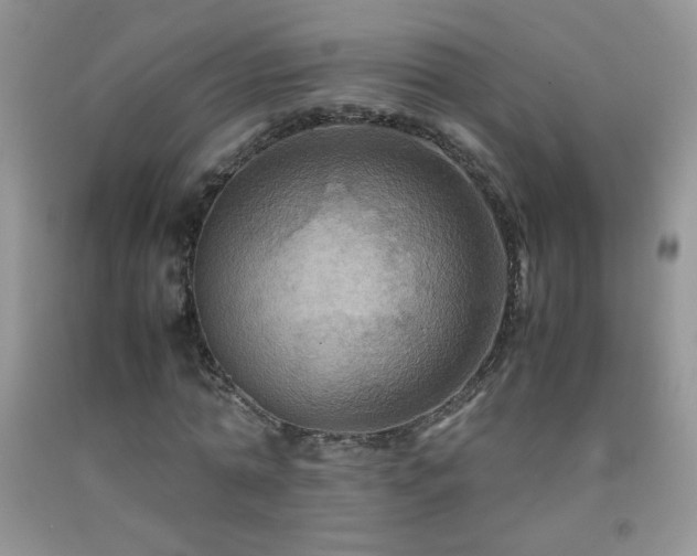 X0000092290774200709141259