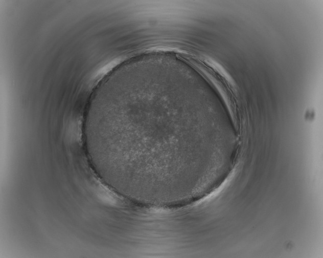 X0000092290777200709141259