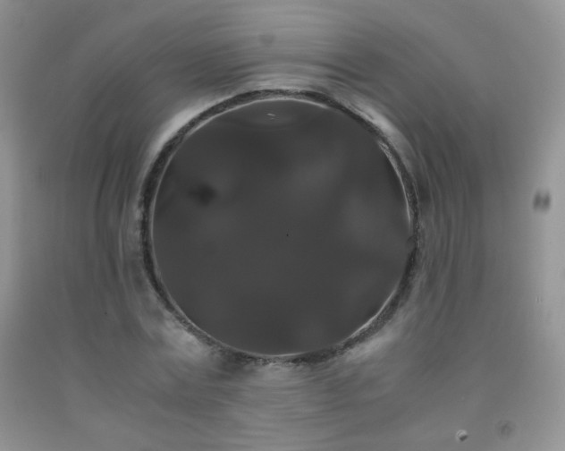 X0000092290779200709141259