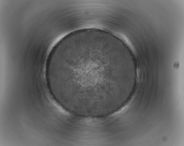 X0000092290780200709141259