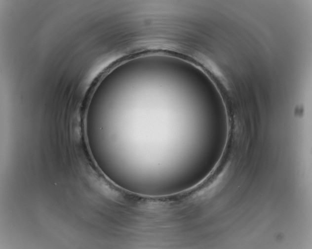 X0000092290782200709141259