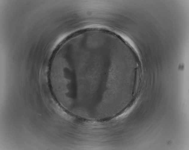 X0000092290783200709141259