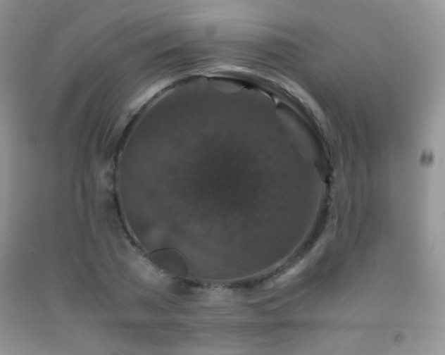 X0000092290785200709141259