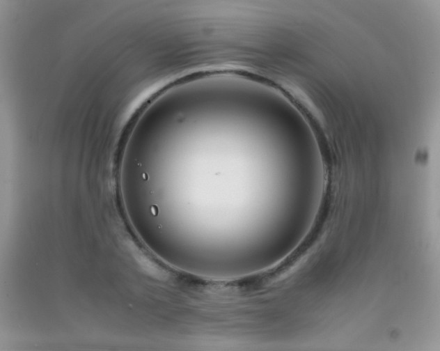 X0000092290789200709141258