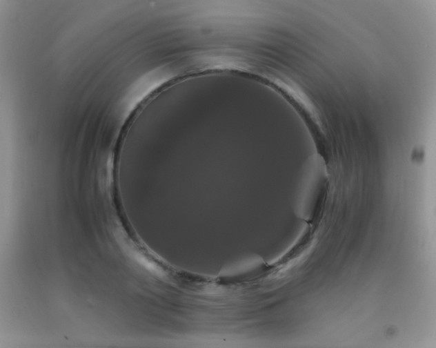 X0000092290790200709141258