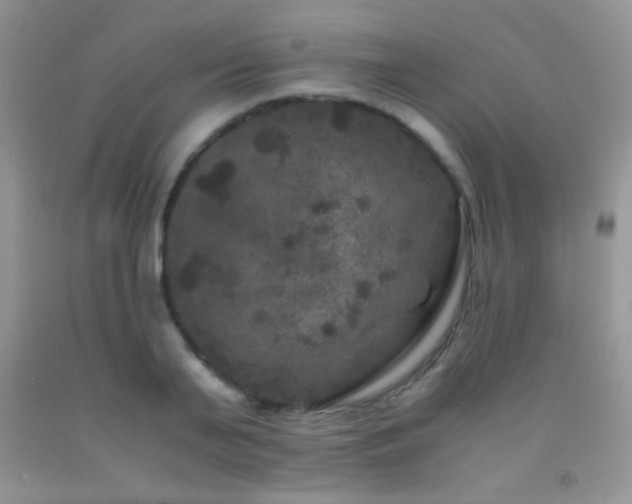 X0000092290791200709141258