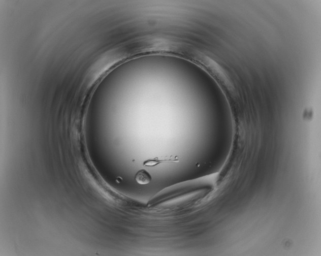 X0000092290794200709141258