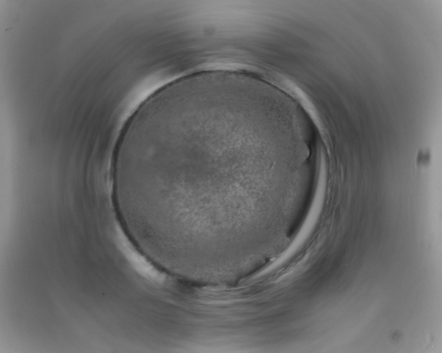 X0000092290795200709141258