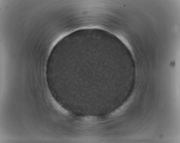 X0000092290797200709141258