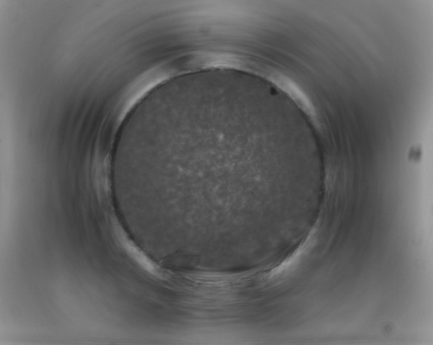 X0000092290798200709141258