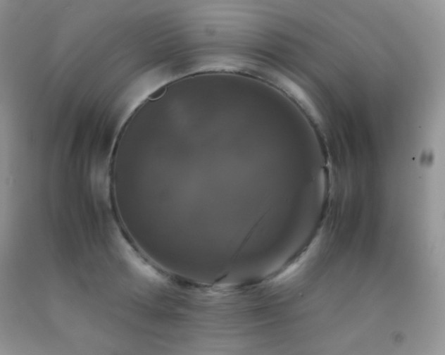 X0000092290802200709141258