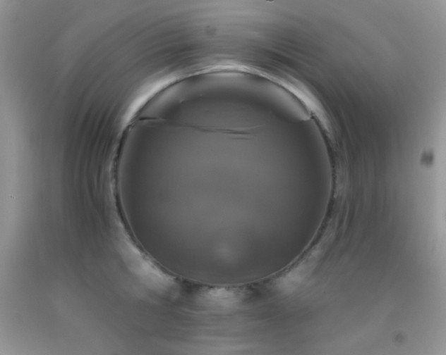 X0000092290806200709141258