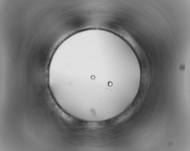 X0000092290807200709141258