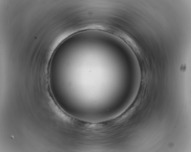 X0000092290808200709141258