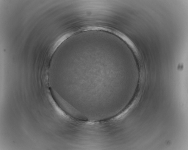 X0000092290809200709141258