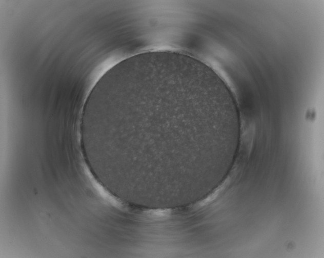 X0000092290810200709141258