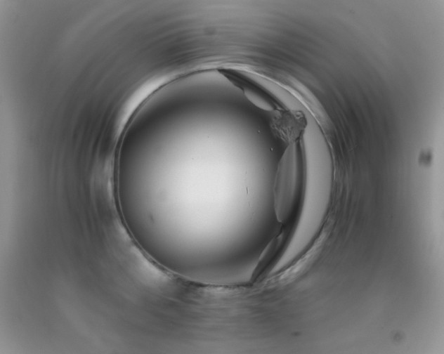 X0000092290812200709141258