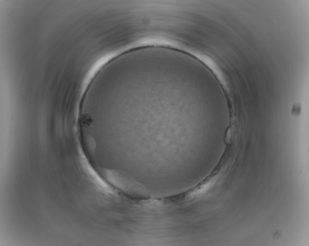 X0000092290815200709141258