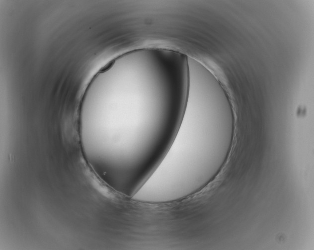 X0000092290816200709141258