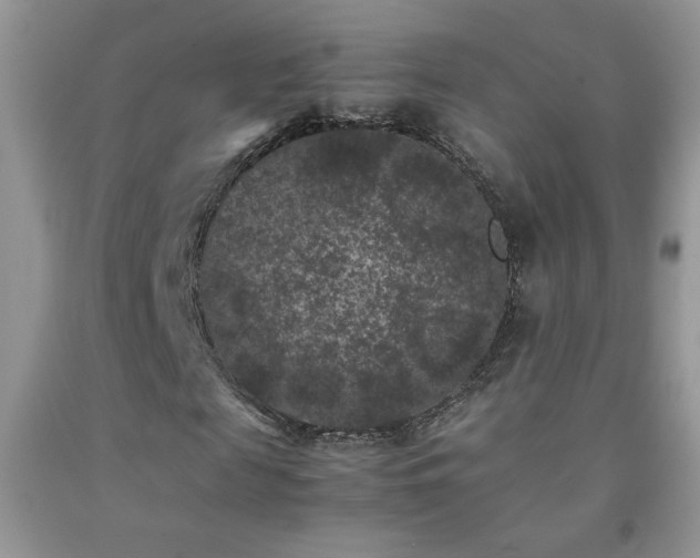 X0000092290817200709141258