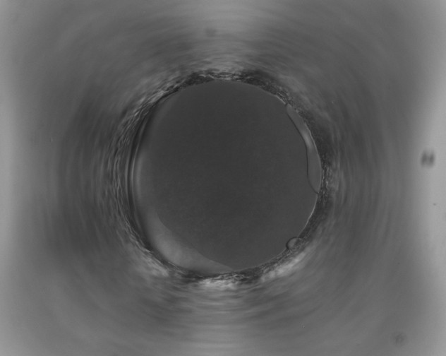 X0000092290818200709141258